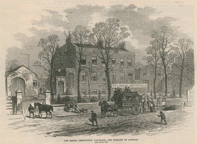 Het Brown Instituut, Vauxhall, voor dierziekten door English School
