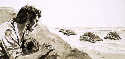 De schipbreukelingen: Terreur van Schildpaddeneiland door English School