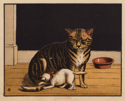 De kat door English School