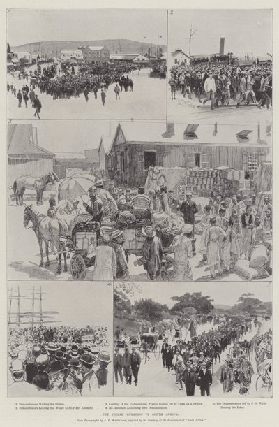 De Koelievraag in Zuid-Afrika door English School