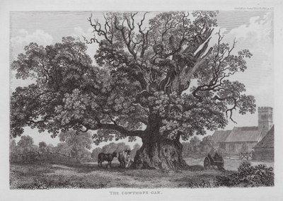 De Cowthope-eik door English School