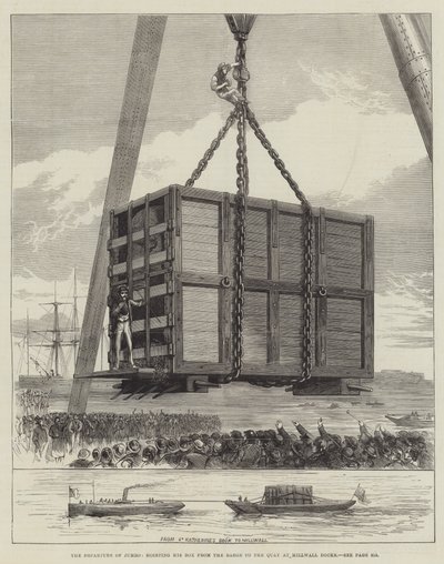 Het vertrek van Jumbo, het hijsen van zijn kist van de schuit naar de kade bij Millwall Docks door English School