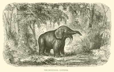 De Dinothere, gerestaureerd (gravure) door English School