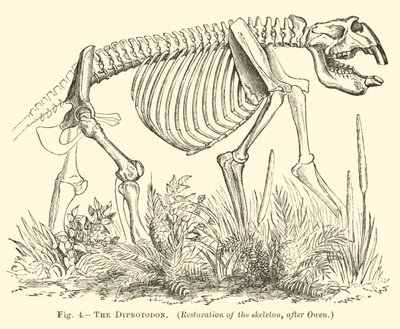 De Diprotodon door English School