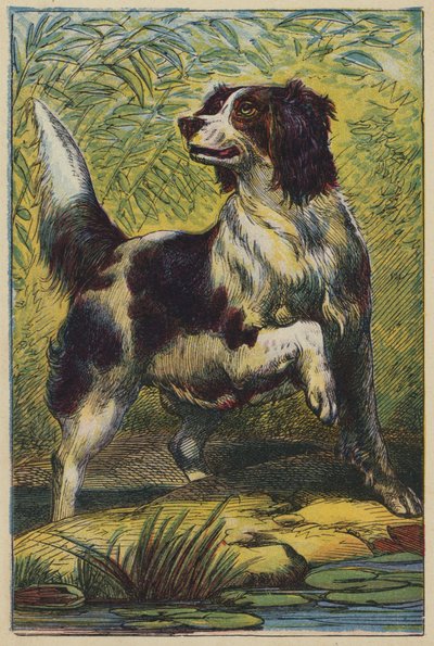 De hond door English School