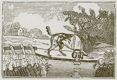 De hond en de schaduw (gravure) door English School