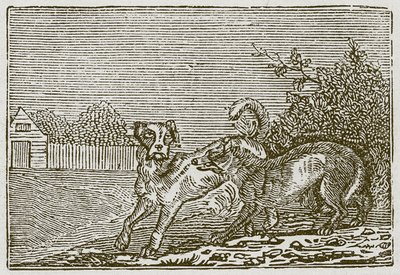 De hond en de wolf (gravure) door English School