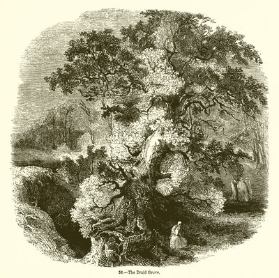 Het druïdenbos door English School
