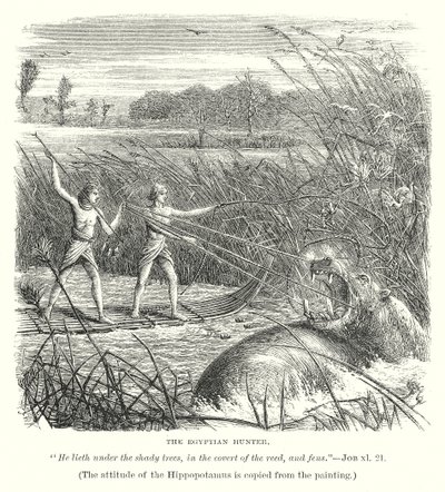 De Egyptische Jager (gravure) door English School