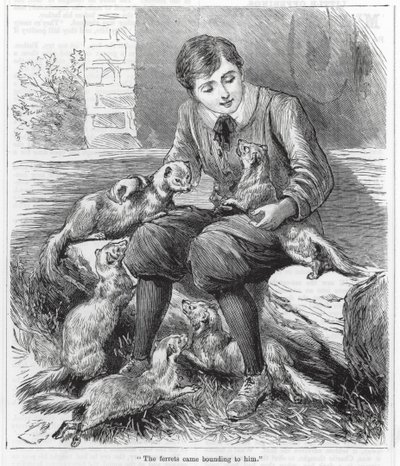"De fretten kwamen naar hem toe" (gravure) door English School