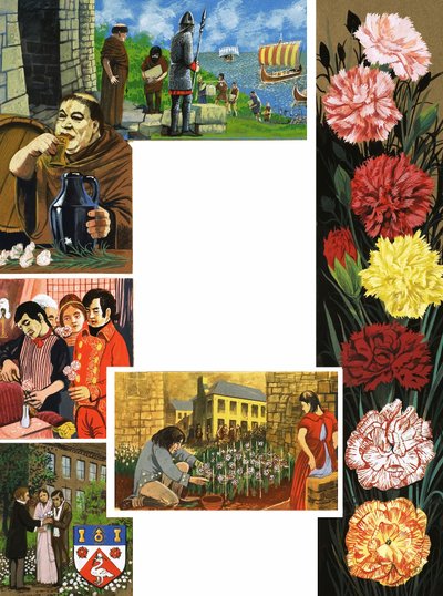 De bloemen die bloeien: heldere anjers door English School