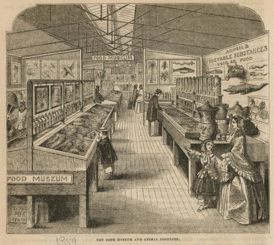 Het Voedselmuseum en Dierlijke Producten, South Kensington Museum door English School