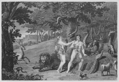 De verboden vrucht, Genesis, III, 6 door English School