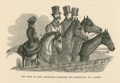 De vorm van de hals geeft over het algemeen de dispositie van een paard aan (gravure) door English School