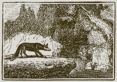 De vos en de zieke leeuw (gravure) door English School