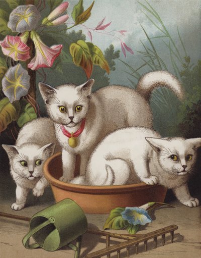De Geschrokken Kittens door English School