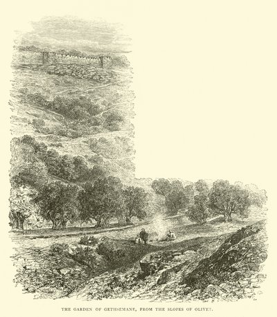 De Hof van Getsemane, vanaf de hellingen van Olivet door English School