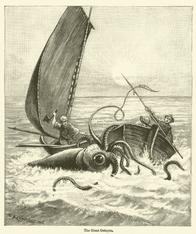 De Reuzenoctopus door English School