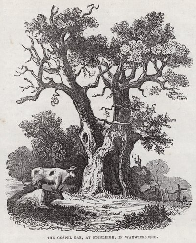 De Evangelie-eik, Stonleigh, Warwickshire (gravure) door English School
