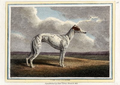 De Windhond, uitgegeven 1812 door English School
