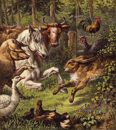 De haas en de schildpad (kleur litho) door English School