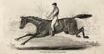 De Harrow Steeple Chase: De laatste beek, uit 