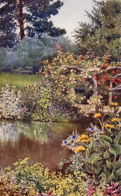 De kruidentuin: Kruiden aan het water door English School