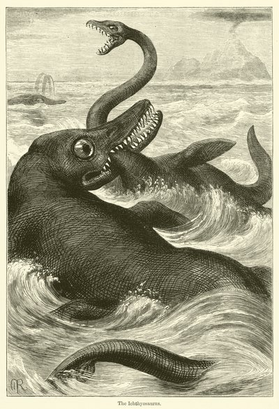 De Ichthyosaurus (gravure) door English School