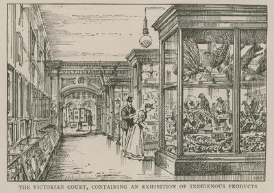 Het Imperial Institute: De Victoriaanse Hof, met een tentoonstelling van inheemse producten door English School