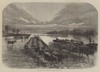 Het land van olie, transport van vaten op Oil Creek (gravure) door English School