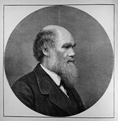 De Laatste Mr. C. R. Darwin, FRS, LLD, uit The Illustrated London News, 29 april 1882 door English School