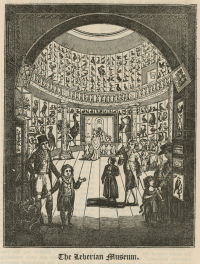 Het Leverian Museum door English School
