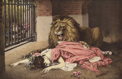 De Bruid van de Leeuw door English School