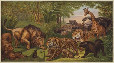 De ontvangst van de leeuw (kleur litho) door English School