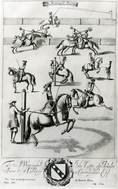 Het beheerde paard, uit 