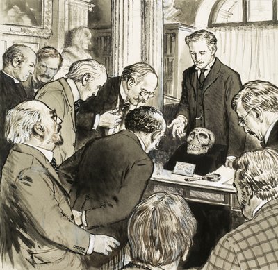 De Ontbrekende Schakel door English School