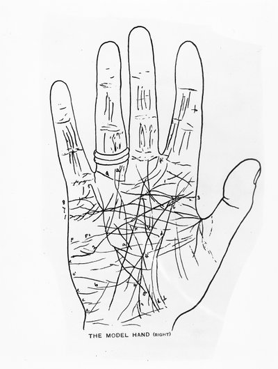 Het Model Hand (Rechts) door English School