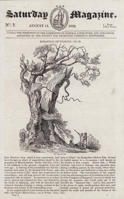 De Nannau-eik (gravure) door English School