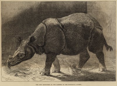 De Nieuwe Neushoorn in de Tuinen van de Zoological Society door English School