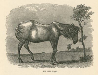 De Ould Mare (gravure) door English School