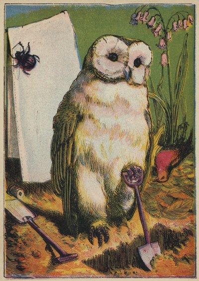 De uil, de kever en Cock Robin door English School