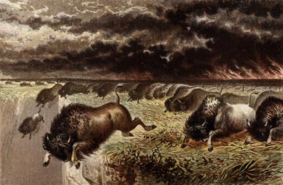De prairie in brand door English School