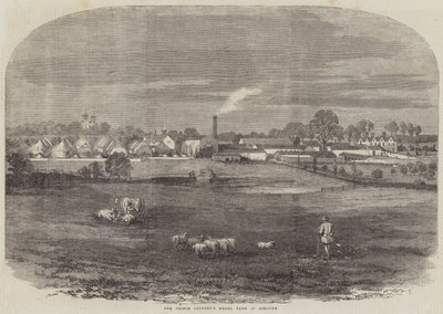 Het Modelboerderij van de Prins-Gemaal in Osborne door English School