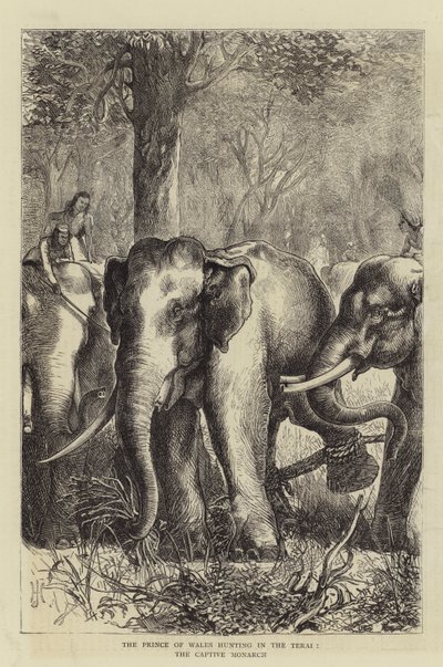 De Prins van Wales op jacht in de Terai, de Gevangen Monarch door English School