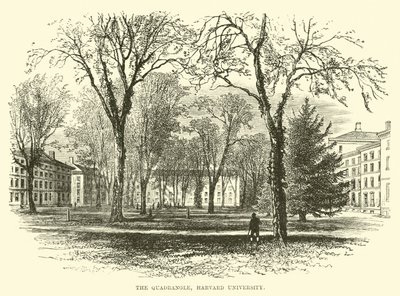 De Binnenplaats, Harvard University door English School