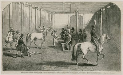De Koningin bekijkt de Arabische paarden die aan Hare Majesteit zijn gepresenteerd, in het rijhuis in Pimlico door English School
