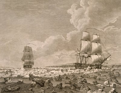 Het racepaard en karkas die door het ijs breken, 10 augustus 1773, uit A Voyage Towards the North Pole Undertaken by His Majesty