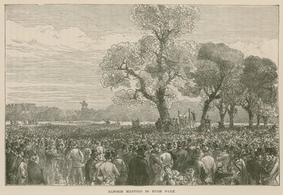 De Hervormingsdemonstratie in Hyde Park, 6 mei 1867 door English School