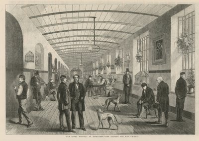 Het Koninklijk Ziekenhuis van Bethlehem - de galerij voor mannen door English School