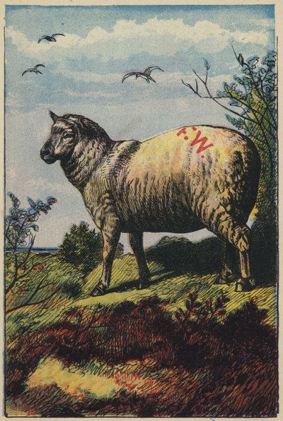 Het Schaap door English School